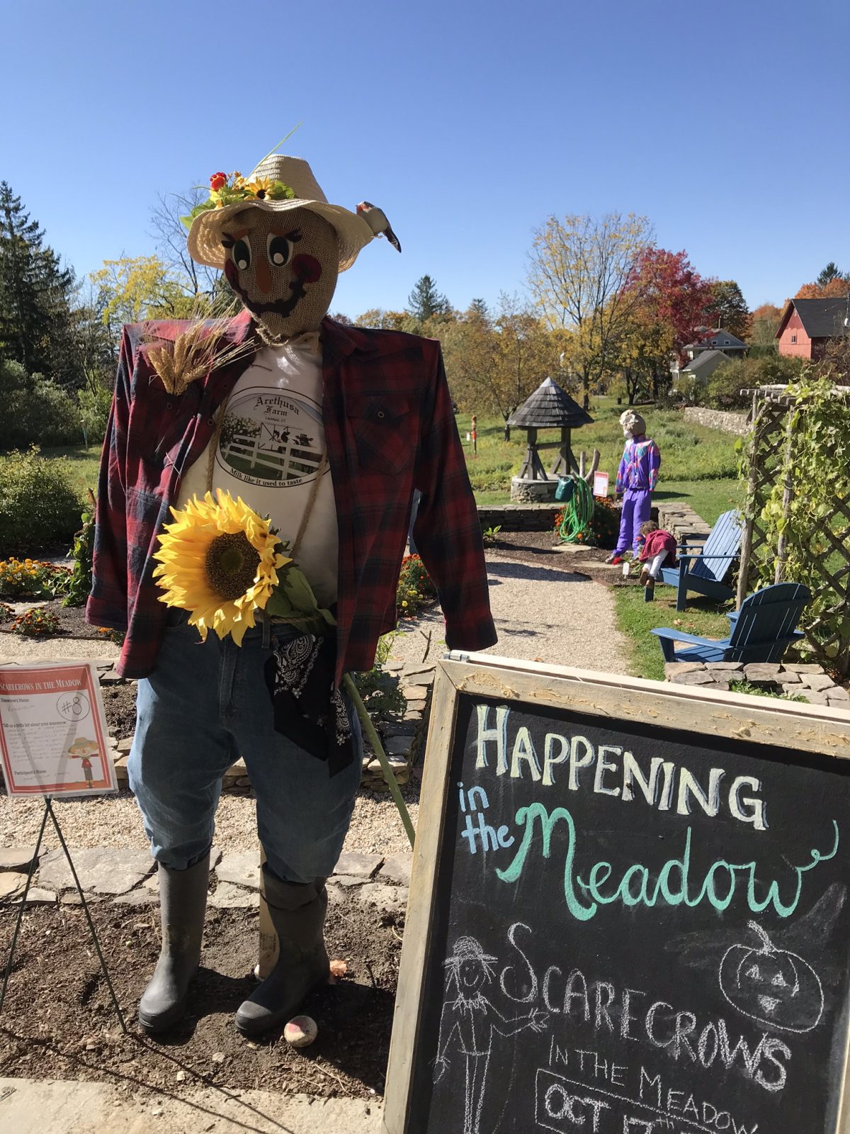 Scarecrows in the Meadow