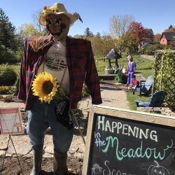 Scarecrows in the Meadow
